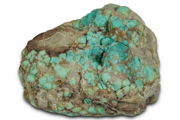 Tumbled Turquoise Specimen - Number Mine, Carlin, NV #331220